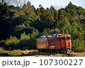 小湊鉄道　いすみ鉄道　キハ40　鉄道旅 107300227