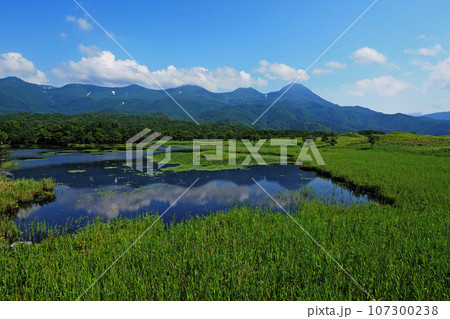 北海道 夏の知床半島 知床連山と知床五胡 北海道 夏の知床半島 知床連山と知床五胡 107300238
