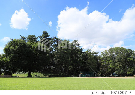 八幡山古墳 八幡山古墳 107300717