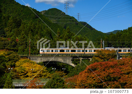 青梅 奥多摩 中央線 E233系 青梅 奥多摩 中央線 E233系 107300773
