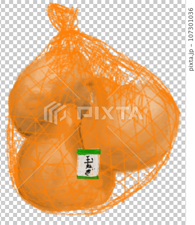 onion onion 107301036