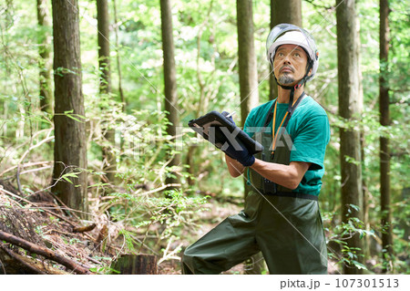 森の中でタブレットを使うヘルメット着用の男性　森林官　自然保護官　イメージ 107301513