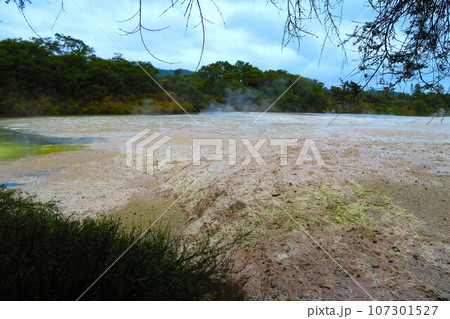 ワイオタプ・サーマル・ワンダーランドのシンター・テラス、Sinter Terraces 107301527