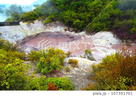 ワイオタプ・サーマル・ワンダーランドのオイル・プール ワイオタプ・サーマル・ワンダーランドのオイル・プール 107301701