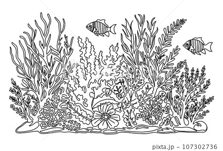 Ocean bottom coloring page with fish and algae. Sea life coloring book. 107302736