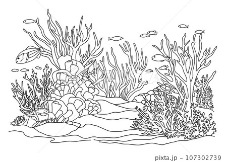 Ocean bottom coloring page with fish and algae. Sea life coloring book. 107302739