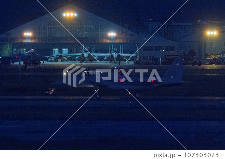 航空自衛隊第306飛行隊F-15DJイーグル夜間着陸 航空自衛隊第306飛行隊F-15DJイーグル夜間着陸 107303023