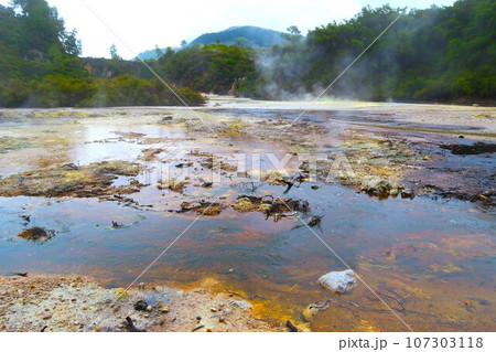 ニュージーランドの地熱地帯、ワイオタプ・サーマル・ワンダーランド ニュージーランドの地熱地帯、ワイオタプ・サーマル・ワンダーランド 107303118