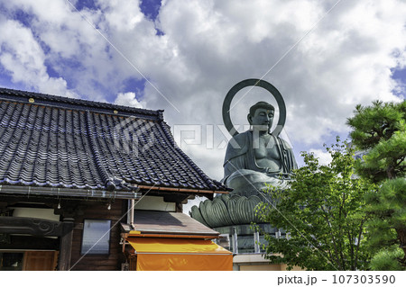 高岡大仏 富山県高岡市 高岡大仏 富山県高岡市 107303590