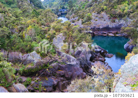 ワイラケイ・パークのダム、アラティアティア・ラピッズ 107303621