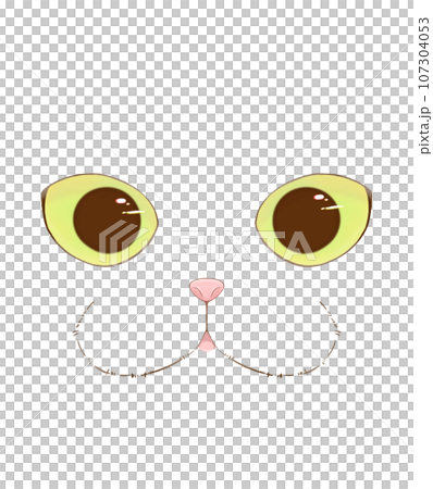 Cat's face Cat's face 107304053