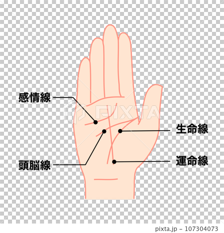 手相を説明するイラスト 手相を説明するイラスト 107304073