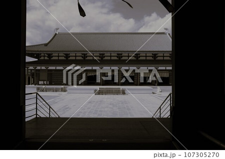 奈良薬師寺東院堂　モノクローム 107305270