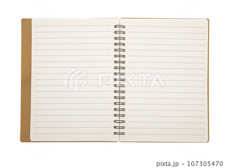 Blank notebook paper with ring spine isolated on white background 107305470
