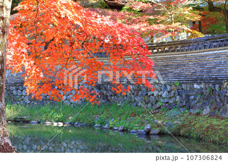 紅葉のある風景 紅葉のある風景 107306824
