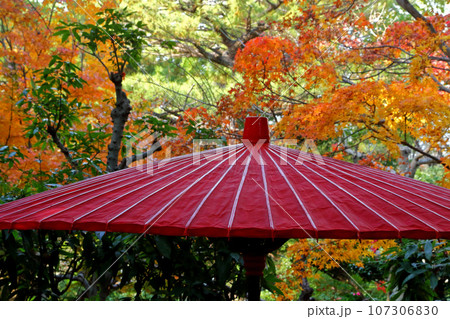 日本の秋 日本の秋 107306830