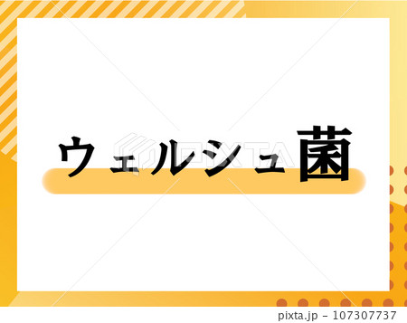 ウェルシュ菌.のシンプルな表題 ウェルシュ菌.のシンプルな表題 107307737