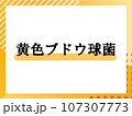 黄色ブドウ球菌のシンプルな表題 107307773