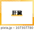 肝臓のシンプルな表題 107307780