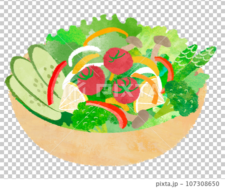蔬菜沙拉插圖 107308650