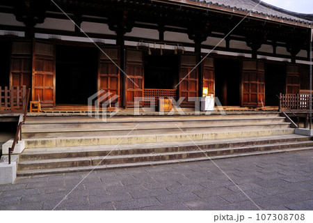 世界遺産 薬師寺東院堂 世界遺産 薬師寺東院堂 107308708