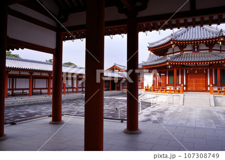 薬師寺　玄奘三蔵院伽藍 107308749