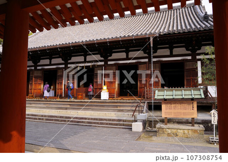 薬師寺　東院堂 107308754
