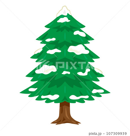 雪が積もったモミの木 雪が積もったモミの木 107309939