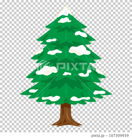 雪が積もったモミの木 雪が積もったモミの木 107309939