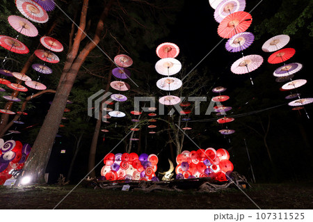 日光市　鬼怒川温泉　月あかり花回廊 107311525