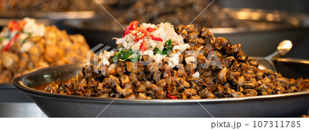 かたつむり カタツムリ 巻き貝 107311785