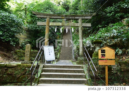 鎌倉市　円覚寺境内の弁天堂（弁天茶屋・洪鐘）入口鳥居と階段 107312338