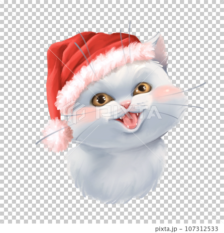 Cute white cat in Santa hat. Christmas illustration Cute white cat in Santa hat. Christmas illustration 107312533