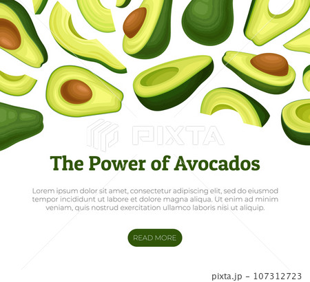 Avocado Banner and Poster Design with Green Fruit Vector Template Avocado Banner and Poster Design with Green Fruit Vector Template 107312723