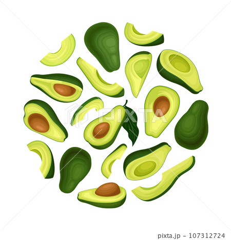 Avocado Round Composition Design with Green Fruit and Kernel Vector Template 107312724
