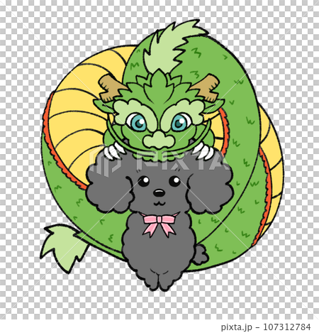 New Year's card material with green dragon and black to gray toy poodle New Year's card material with green dragon and black to gray toy poodle 107312784