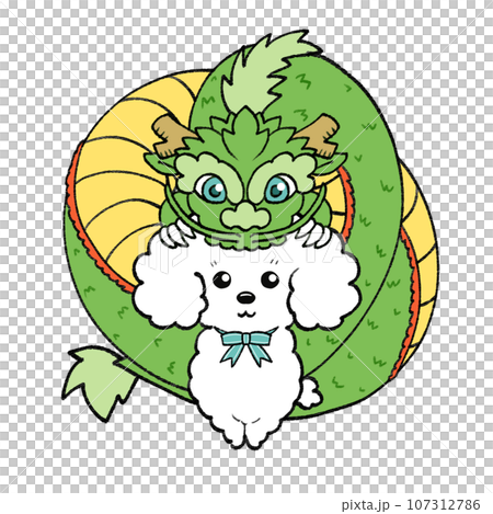 New year's card material with green dragon and white toy poodle New year's card material with green dragon and white toy poodle 107312786