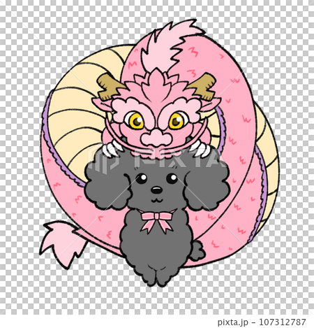 New Year's card material with pink dragon and black to gray toy poodle New Year's card material with pink dragon and black to gray toy poodle 107312787