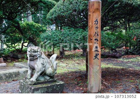 常堅寺　カッパの狛犬 107313052