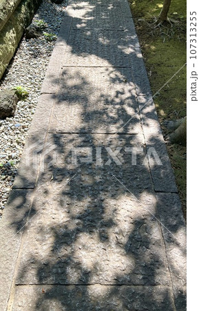 木漏れ日が差し込む石畳 107313255