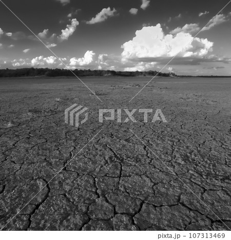 Broken dry soil in a Pampas lagoon, La Pampa province, Patagonia, Argentina. Broken dry soil in a Pampas lagoon, La Pampa province, Patagonia, Argentina. 107313469