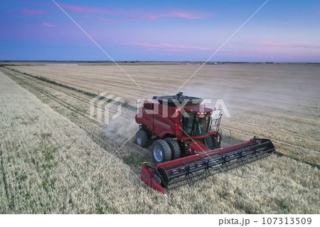 Harvester in Pampas Countryside, aerial view, La Pampa province, Argentina. Harvester in Pampas Countryside, aerial view, La Pampa province, Argentina. 107313509