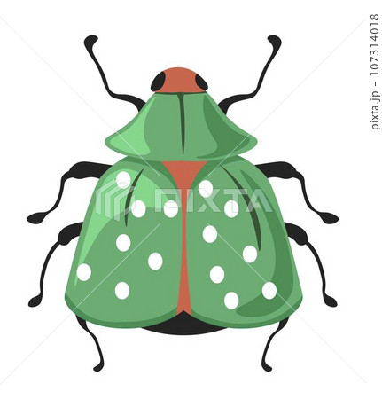 Bug or beetle with green body and dots pattern 107314018