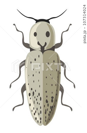 Bug eastern eyed click beetle or elater vector 107314024