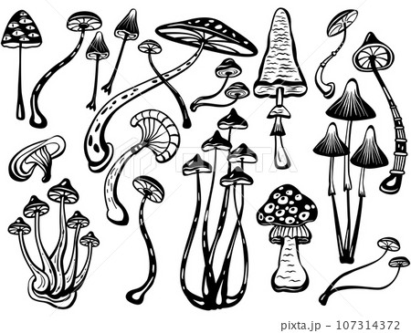Set of Mystical Psychedelic mushrooms Set of Mystical Psychedelic mushrooms 107314372