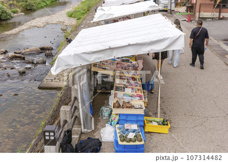 230927宮川朝市z196 107314482