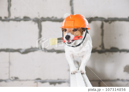 Humorous skillful and deft builder in hard hat with paint brush at construction site 107314856