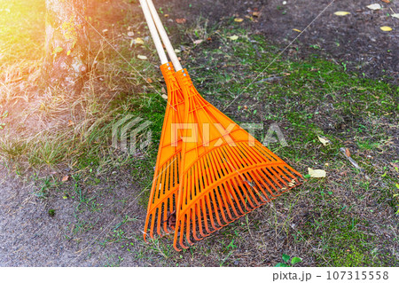 cleaning of fallen autumn leaves. Autumn 107315558