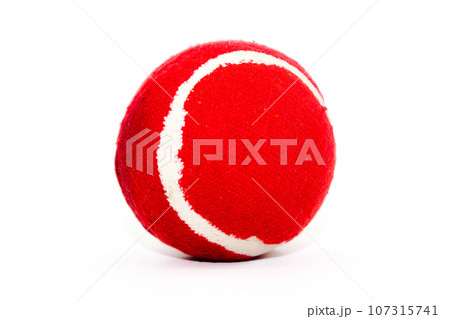 Leather ball isolated on white background with selective focus 107315741