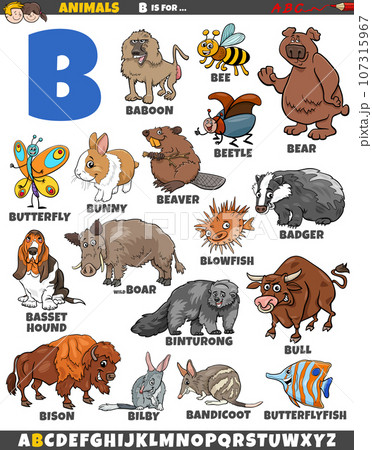 cartoon animal characters for letter B educational set 107315967